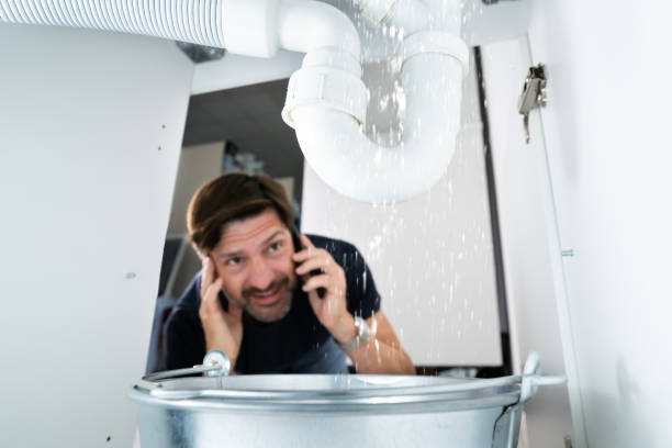 Best Best Plumbers Near Me  in Agua Dulce, CA