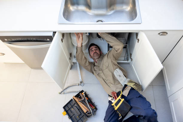 Best Clogged Drain Plumber  in Agua Dulce, CA
