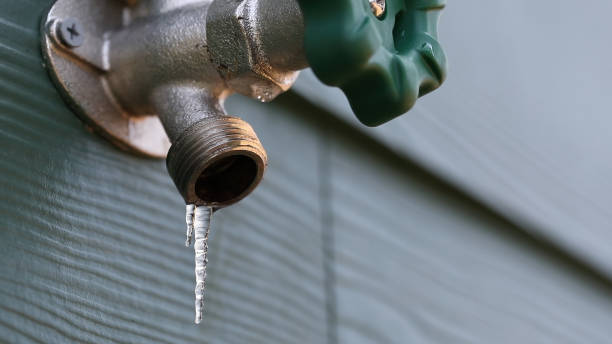 Best Plumbing Services Near Me  in Agua Dulce, CA