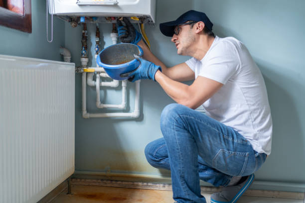 Best Plumbing Services Near Me  in Agua Dulce, CA